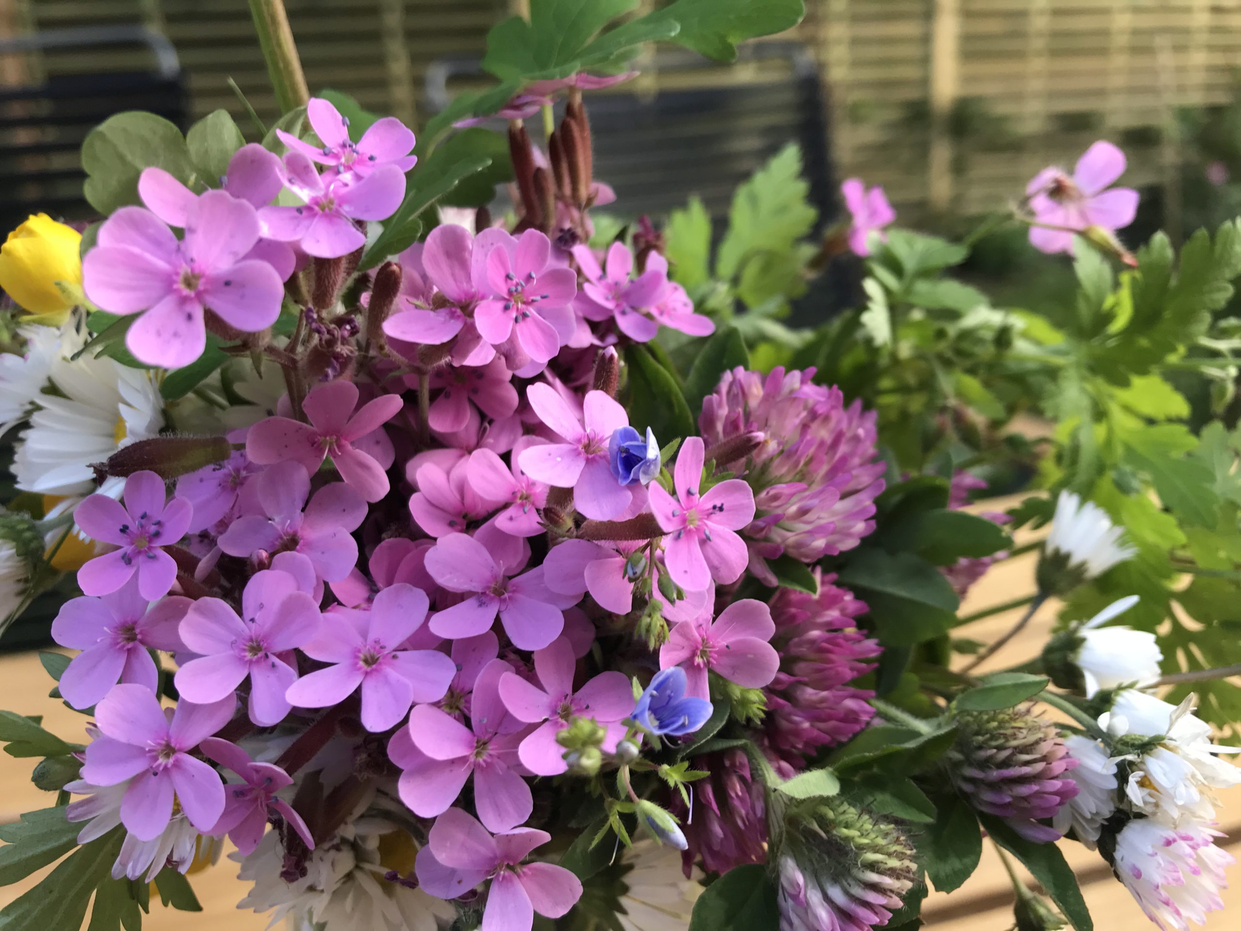 Blumenstrauß aus dem Mini-Garten